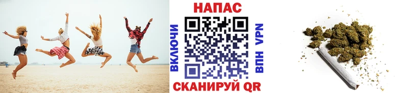 Бошки Шишки MAZAR  Купить где  Котовск 
